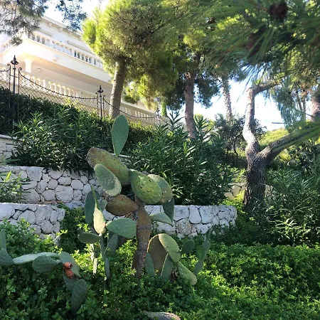 Cliff Next To Hvar Villa *